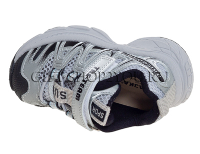 ��������� ��� ��������� R250212212GR (����, ��� 2)