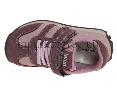 ����������� ��� ������� R883013231P (����, ��� 2)