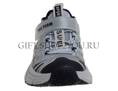 ��������� ��� ��������� R029314039GR (����, ��� 1)