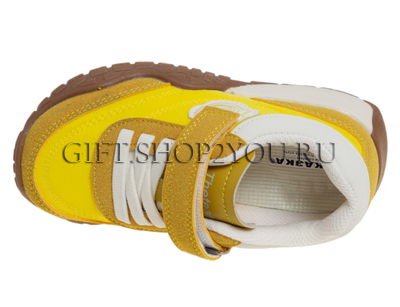 ����������� ��� ��������� R111713233Y (����, ��� 2)