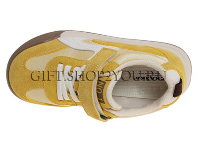 ����������� ��� ��������� R913614108Y (����, ��� 2)